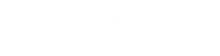 klimaneutrale Website Widget